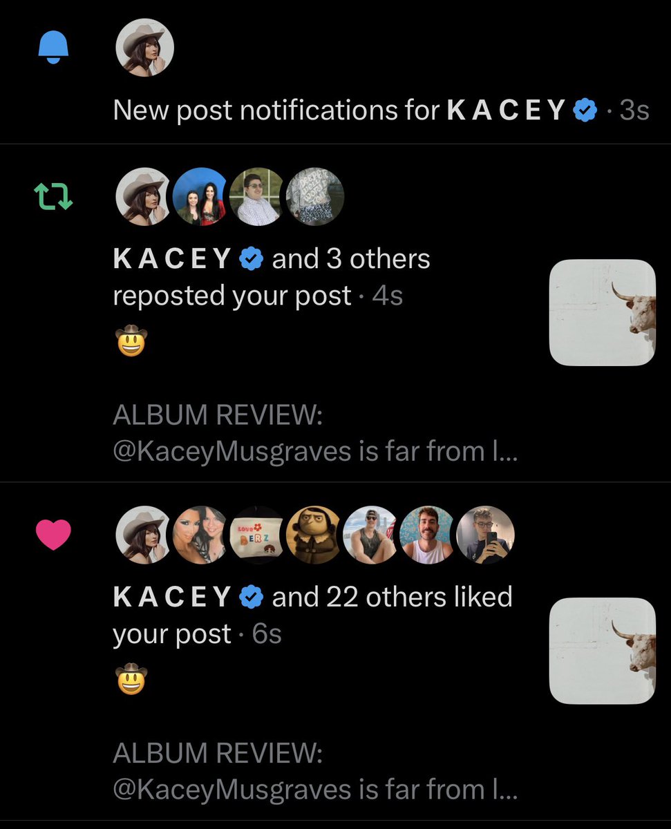 Amanda 🐮 tweet media