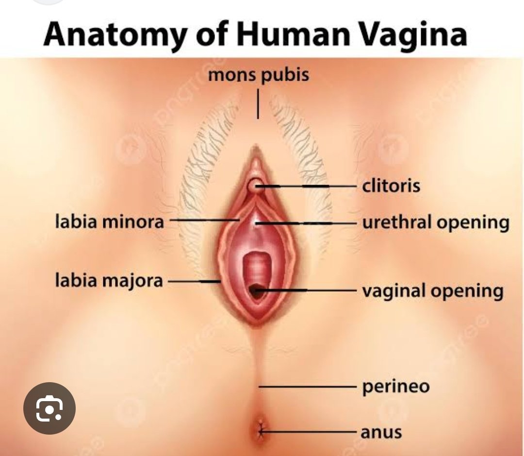 Dystractrhythm tweet media