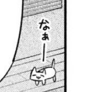 ねこ 