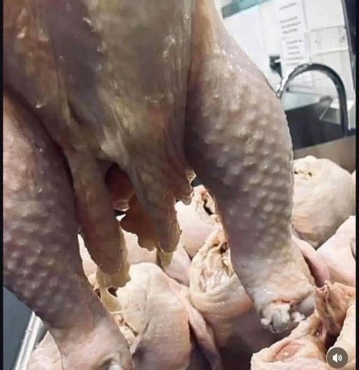 Wayne🩵 tweet media