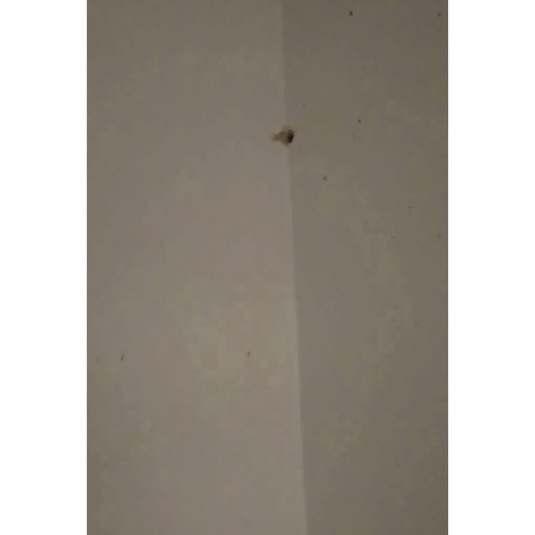 Instablog9ja tweet media