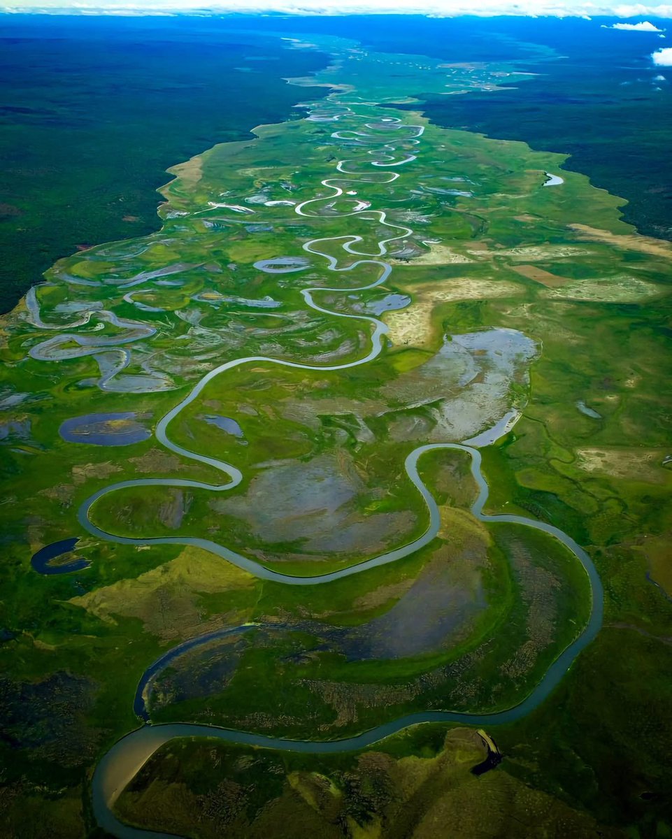 Typical African tweet media