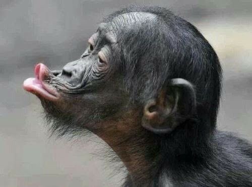 TundeOfficial tweet media