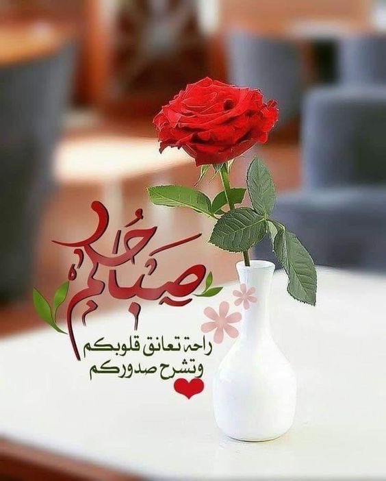 معتز الكويتي tweet media