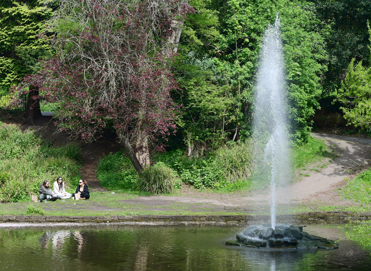 andyteebaypics's tweet photo. Beautiful Spring weather in Sefton Park today @LivEchonews https://t.co/E4qbg812cE