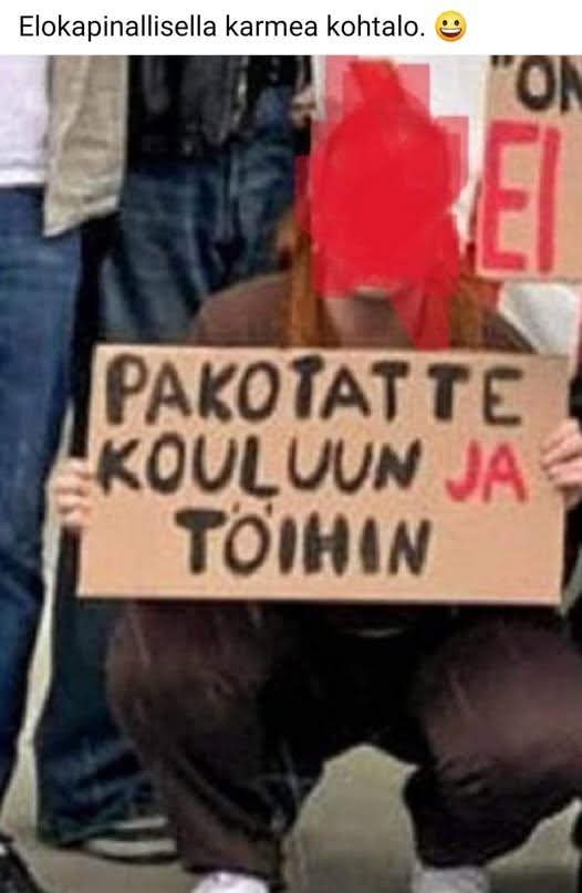 Pimeys Mesimäyrä tweet media
