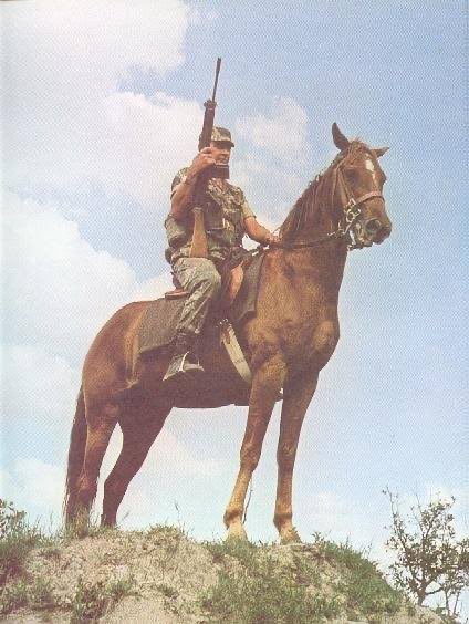 Will Tanner tweet media