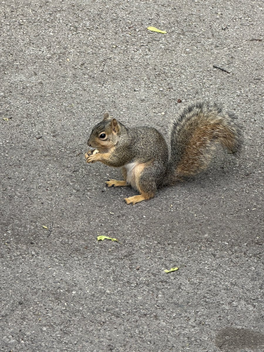 Definitely Nick tweet media