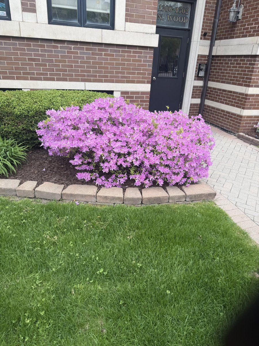 Definitely Nick tweet media