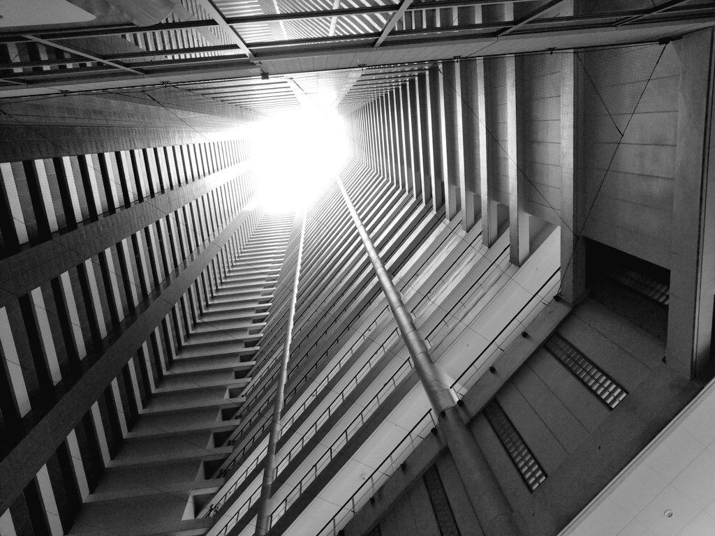 mononekoteata's tweet image. 遠くから降る雨が、どこまで登れば…
と思うも
大切なあなたに会うためまた歩きすすむ。キミがいるからここまでこれたから
#ファインダー越しの私の世界   #写真撮ってる人と繋がりたい  #Tokyo #東京