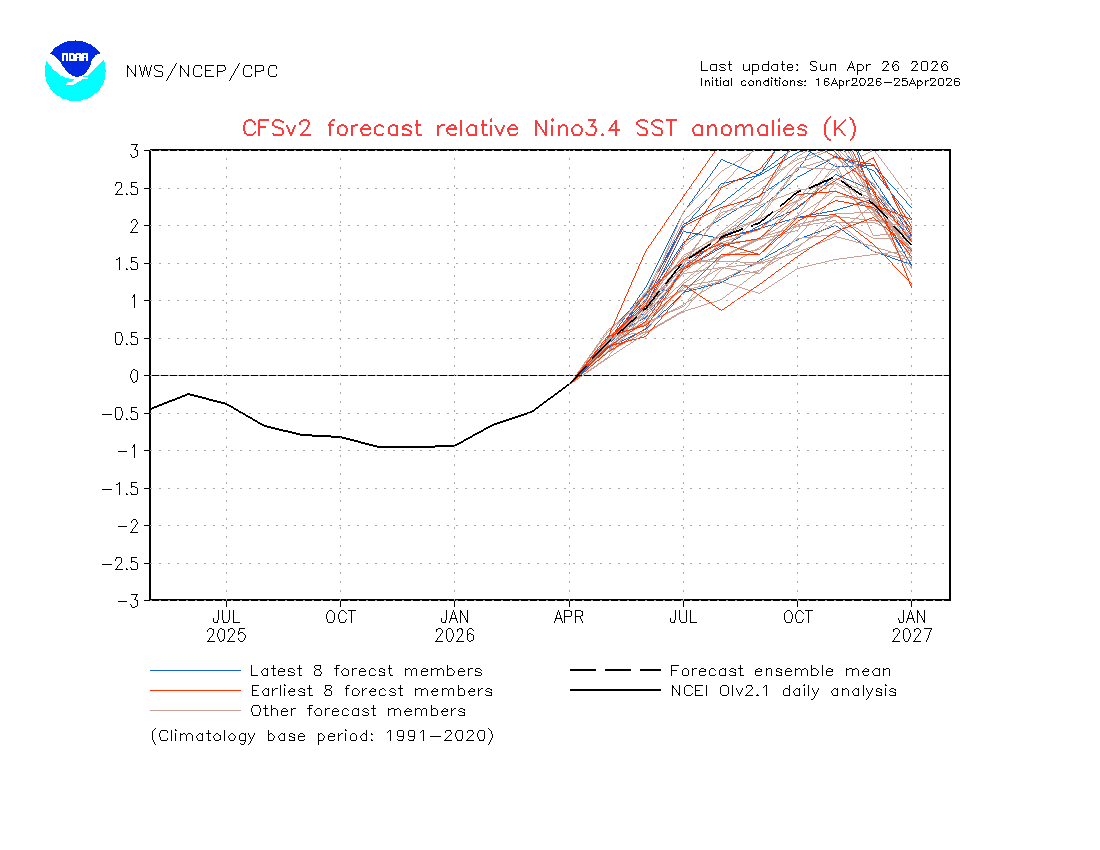 Climawcosta's tweet image. Esta es la última predicción del Niño de la NOAA. Ahora se espera que las anomalías de temperatura del Niño (RONI) este año superen los 2.6 grados. Si esto se hace realidad, rompería records. Ni 2015, ni 1982, ni 1997 alcanzaron esas temperaturas. #ElNiño #Record @primitivojc47