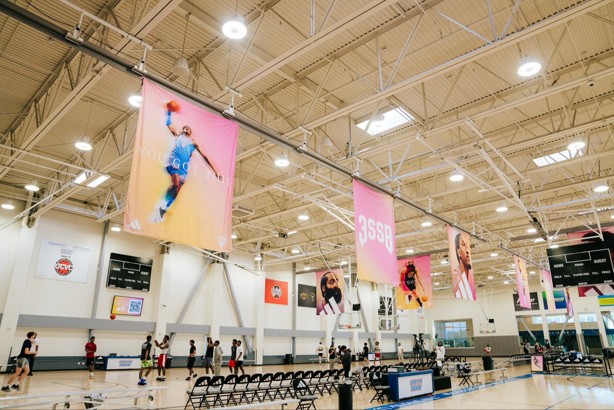 Pro Insight tweet media