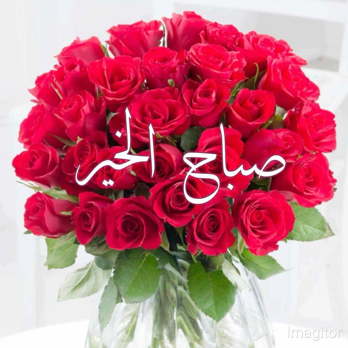 معتز الكويتي tweet media