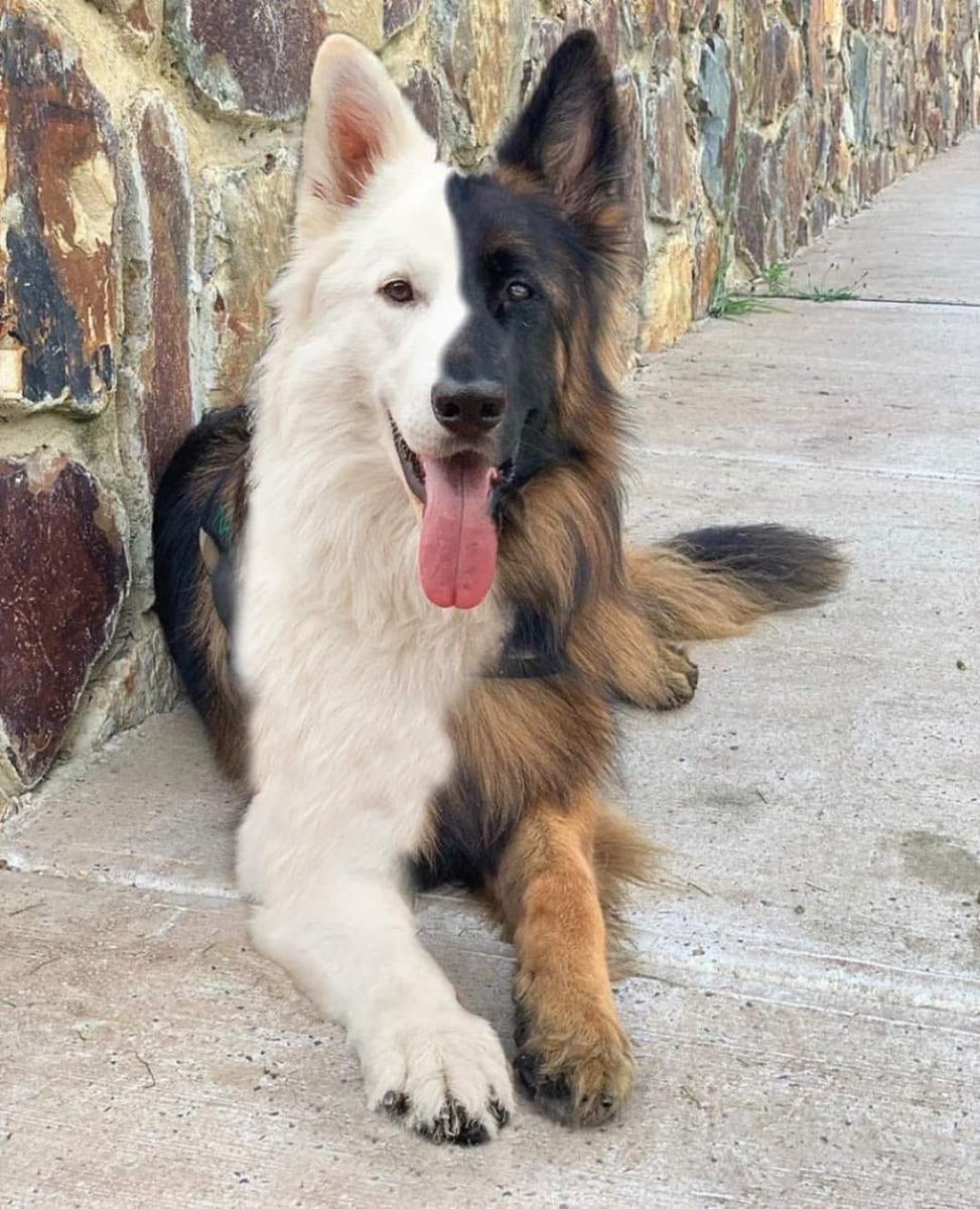 Kadir GÜNDOGDU tweet media