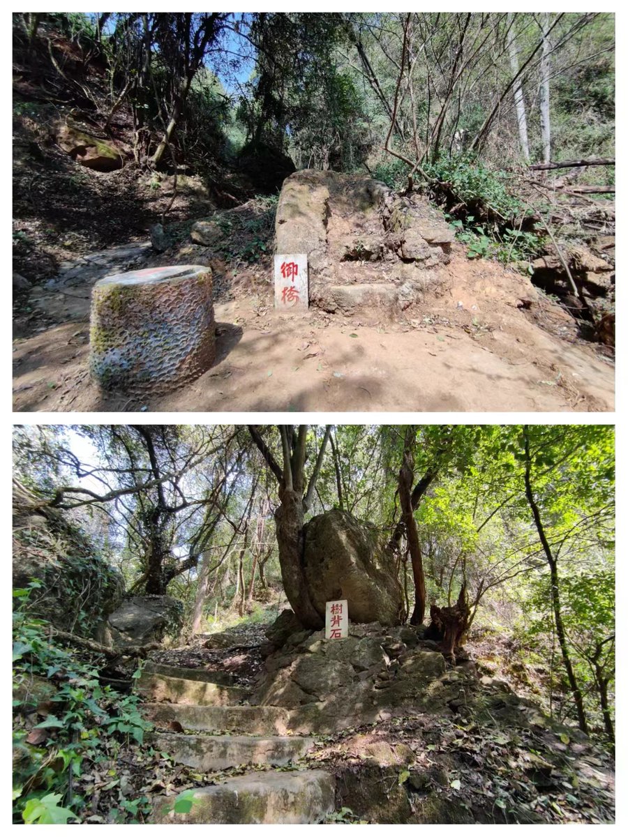 Jimmy bro tweet media