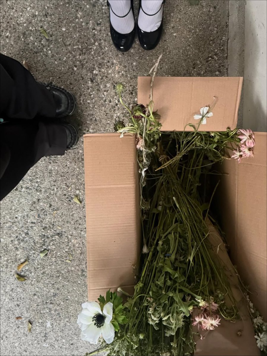 t ꕤ🐾 tweet media