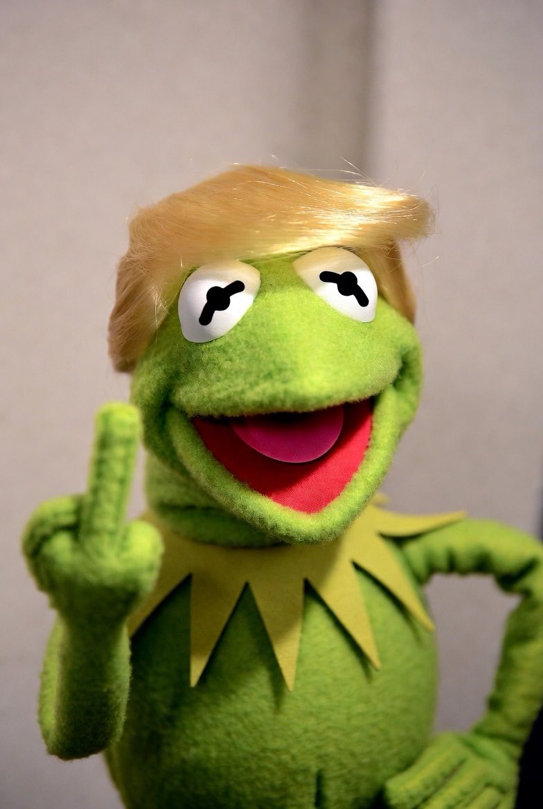 Entry-Level Doomer tweet media