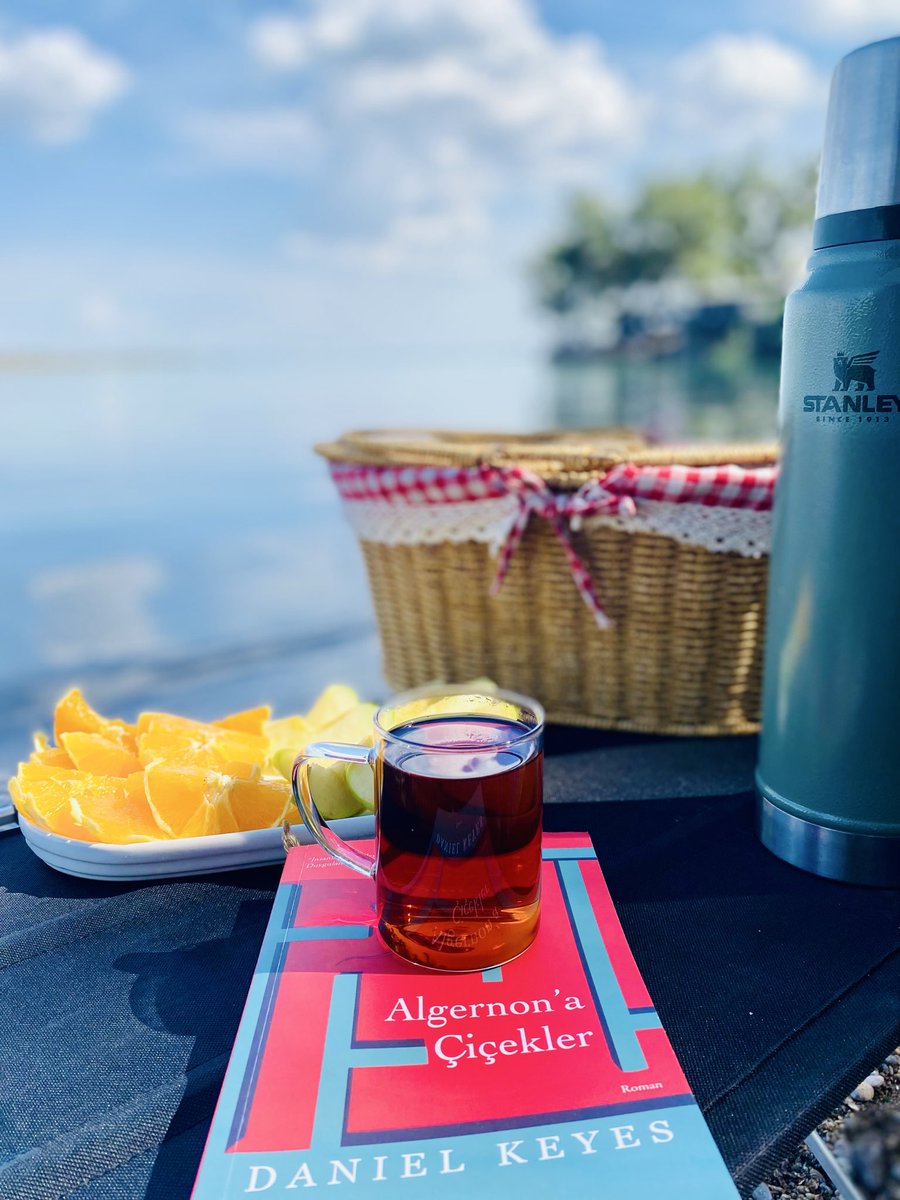 nilgun_zengin01's tweet photo. Bir fincan çay ve Charlie Gordon’un dünyasında bir yolculuk😌📖

#DanielKeyes
#Algernonaçiçekler 
#kitapseverlertakipleşiyor 
#kitap #neokuyorum https://t.co/LmZjiDxvLY