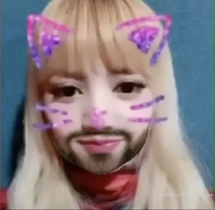 LL ୨୧ tweet media