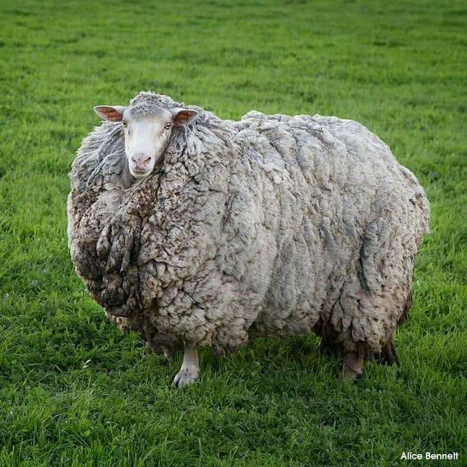 Kadir GÜNDOGDU tweet media