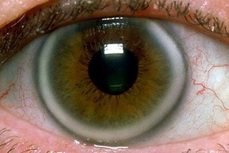 Dr Ihab Suliman tweet media