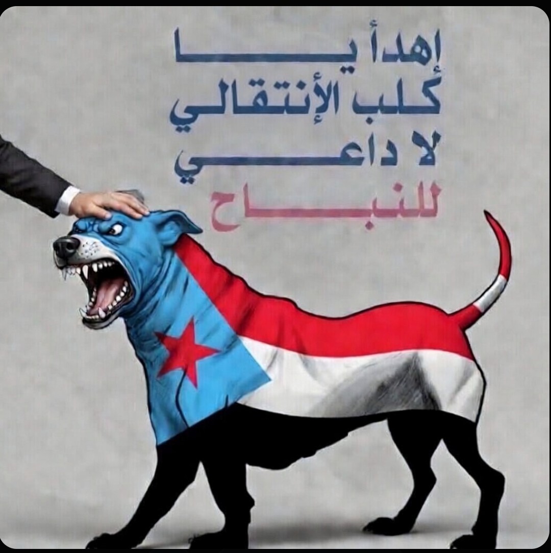 جنوبي حر tweet media