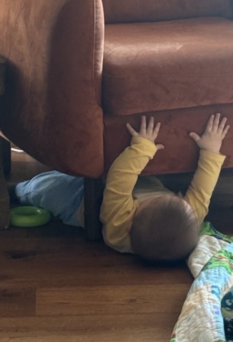 Little guy keeps getting himself stuck under furniture.