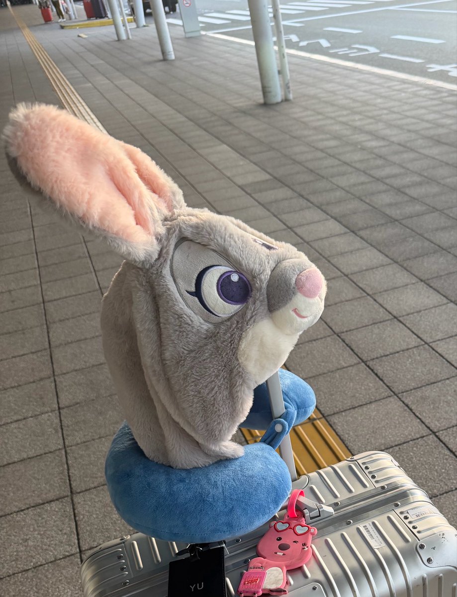 ゆゆ©︎ tweet media