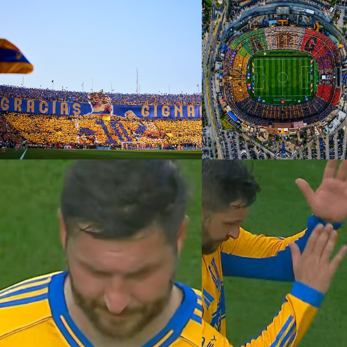 Está a punto de cerrarse una de las historias más lindas del fútbol latinoamericano.

André Pierre Gignac llegó a Tigres hace 11 años. Estaba en el mejor momento de su carrera y muchos criticaron su decisión de irse a México cuando lo pretendían clubes de Premier League.

A