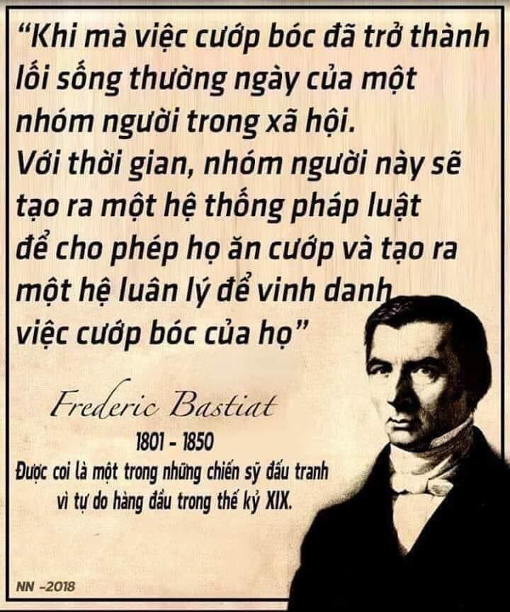 mèo lười tweet media