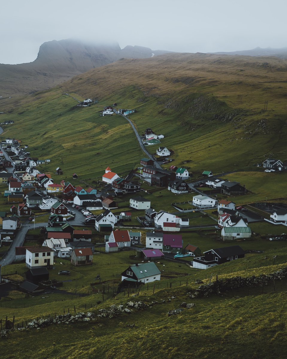 Purely Green tweet media