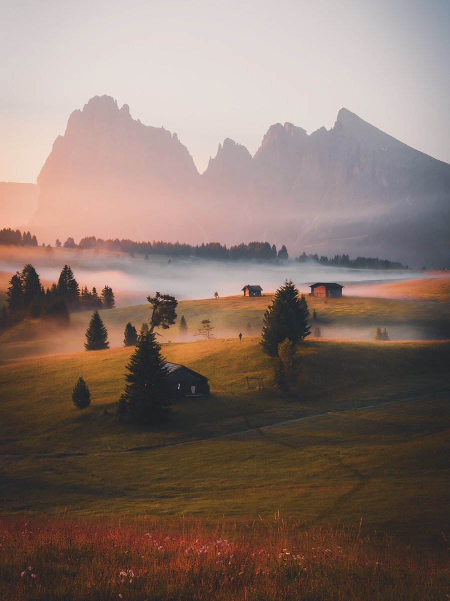 Purely Green tweet media