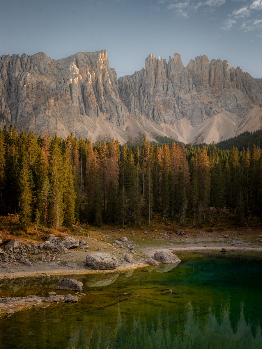 Purely Green tweet media