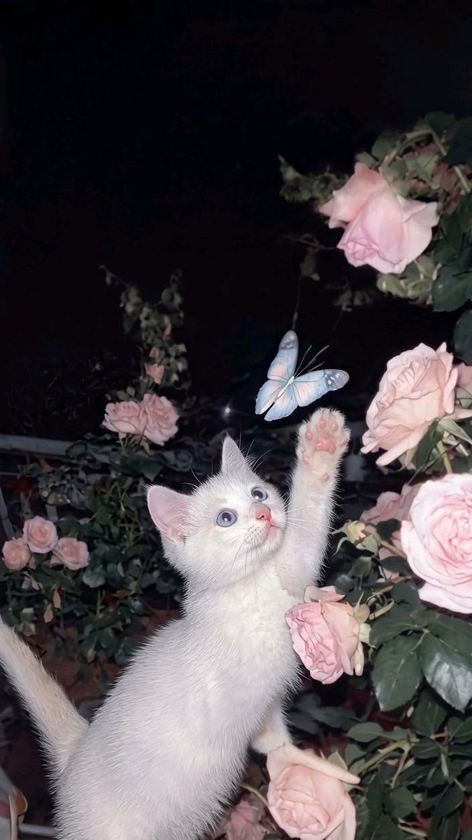 Purely Green tweet media