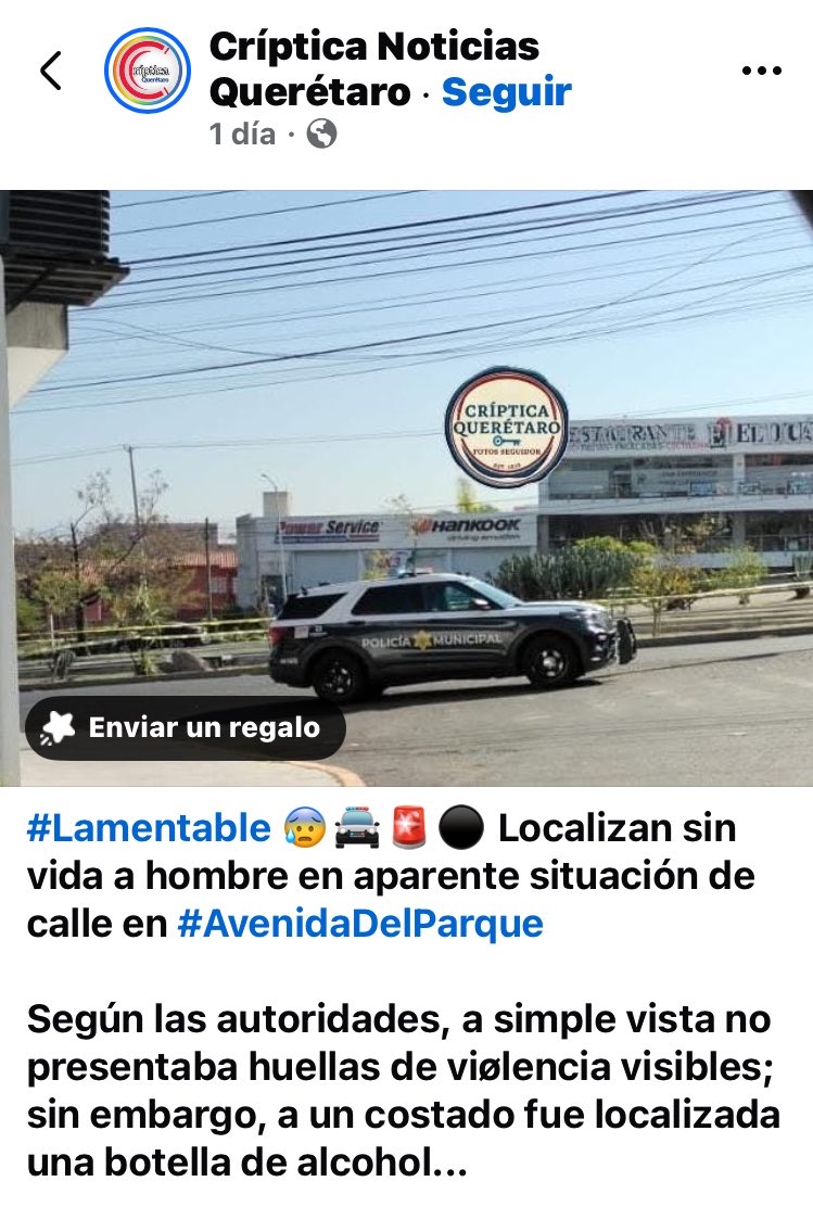 lobotoMia tweet media