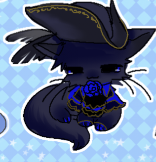 白琥Kohaku tweet media