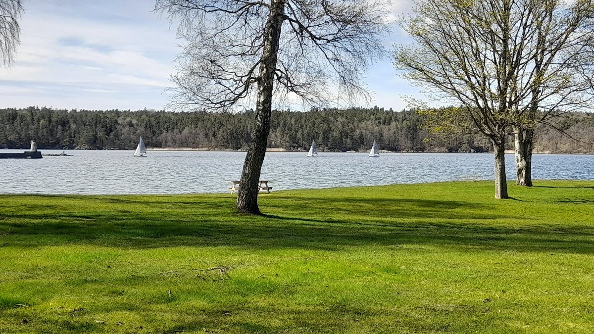 SwedishGamester's tweet image. It's much better #weather than what it was #yesterday (although a bit windy) so #mom and I decided to #GoOutside and take a #LongWalk today instead! It was so very #nice and I'm so #happy and #thankful that I am still able to #GoForAWalk together with her! ❤️