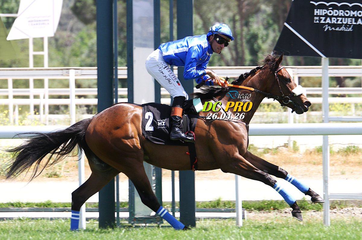 DC PRO 🐎 tweet media