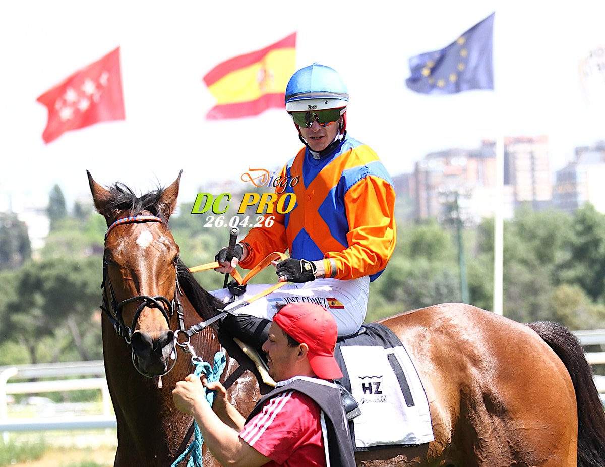DC PRO 🐎 tweet media