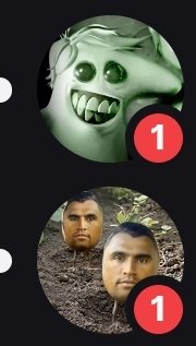 Drungshroom tweet media