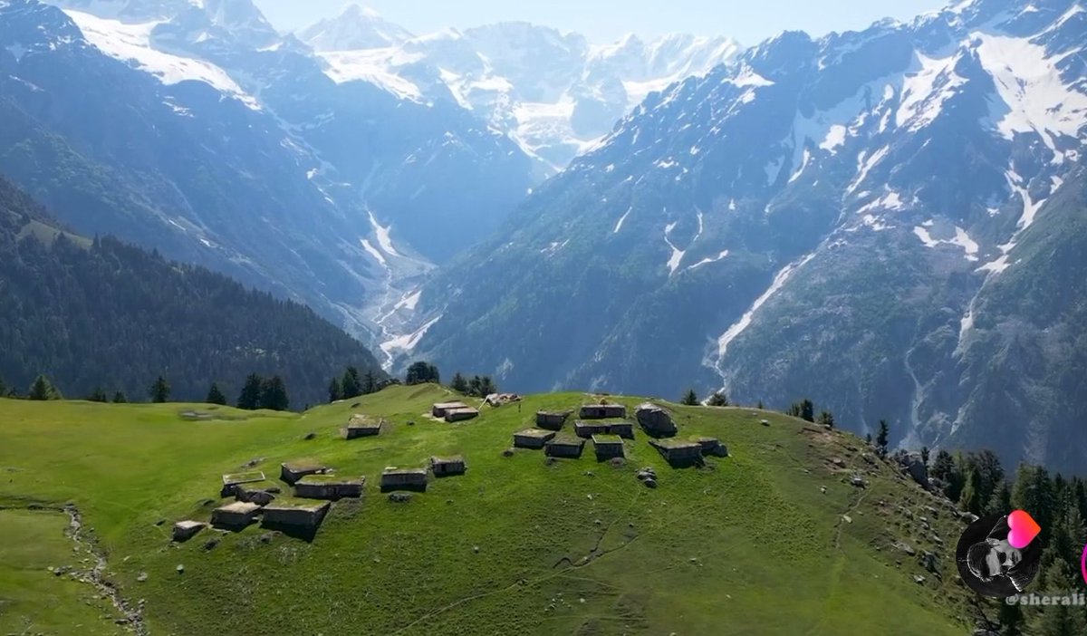 ام ے شاہ tweet media