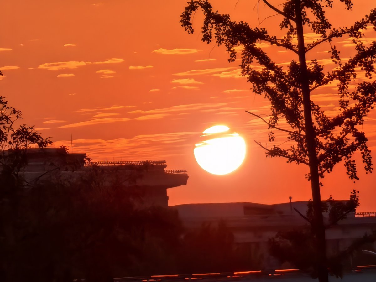 Gillian Holmes tweet media