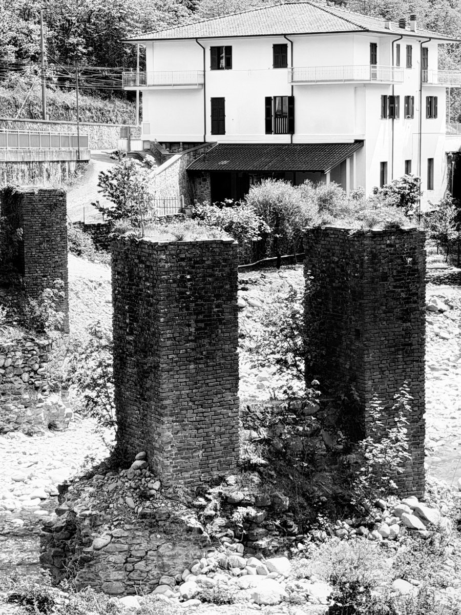 Alonein43672278's tweet image. #photography #blackandwhite #river #pylons #plants