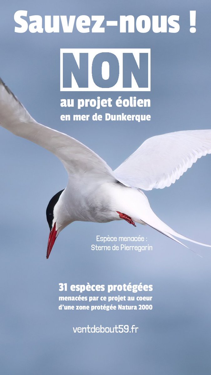 Florent tweet media
