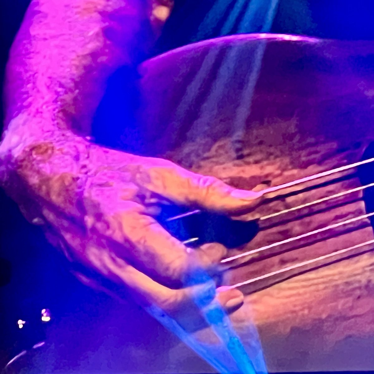 LizzieHelenMay's tweet photo. #Gallery365on2026Sundausic. I look at the world and I notice it's turning
While my guitar gently weeps
With every mistake, we must surely be learning
Still, my guitar gently weeps, yeah. #AlphabetChallenge #WeekPforPurple https://t.co/54hlJBQEJo