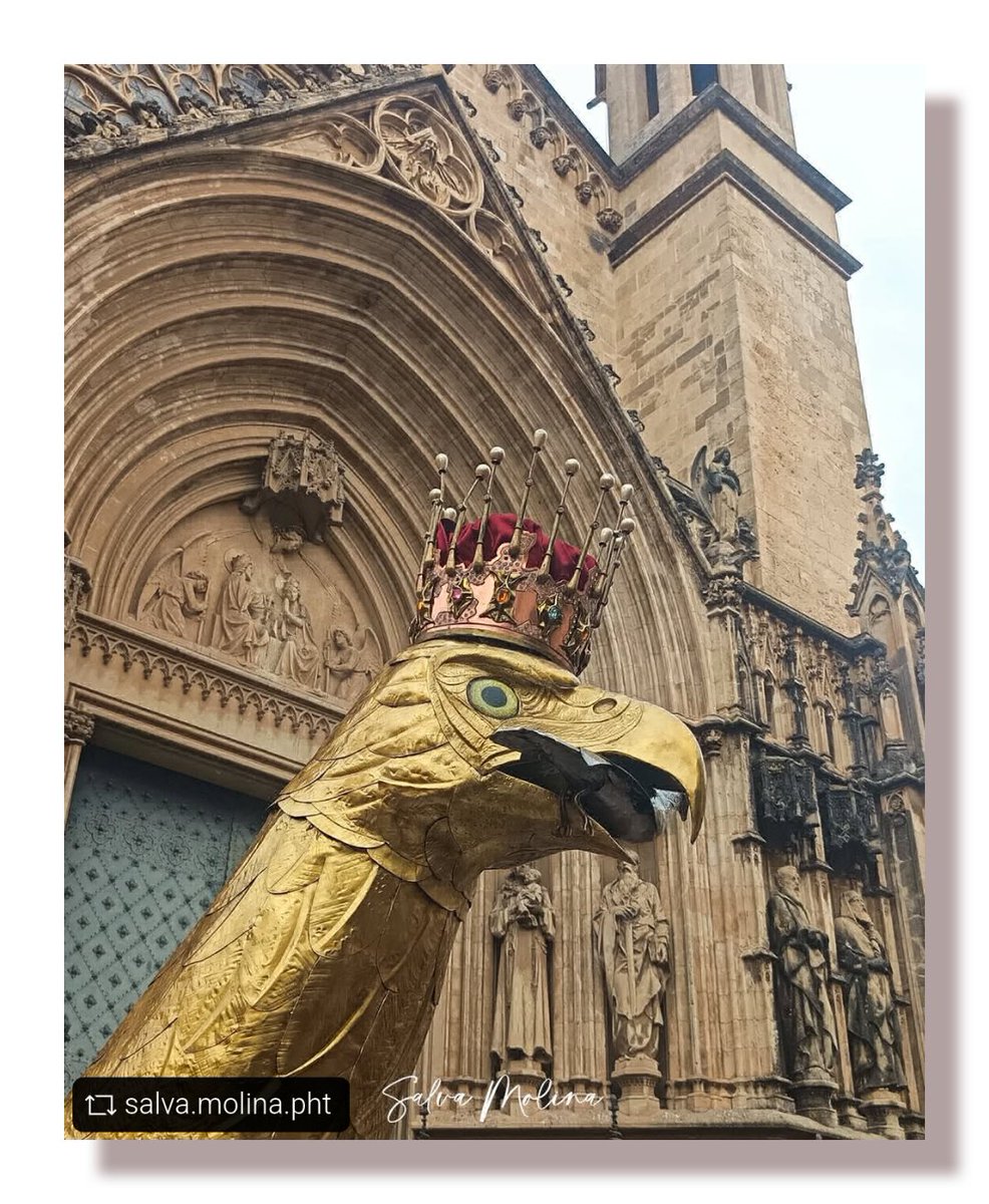 AliguesDelsPPCC's tweet photo. Repost @salva.molina.pht

Trobada d'Àligues Històriques a Vilafranca del Penedès...

I no podia faltar la nostra... la de Tarragona!!

Pròximament més fotografies... d'ella, i de la resta d'Àligues Històriques participants

@aligatgn @aligadevilafranca @aliguesdecatalunya https://t.co/DPUqijIVkI