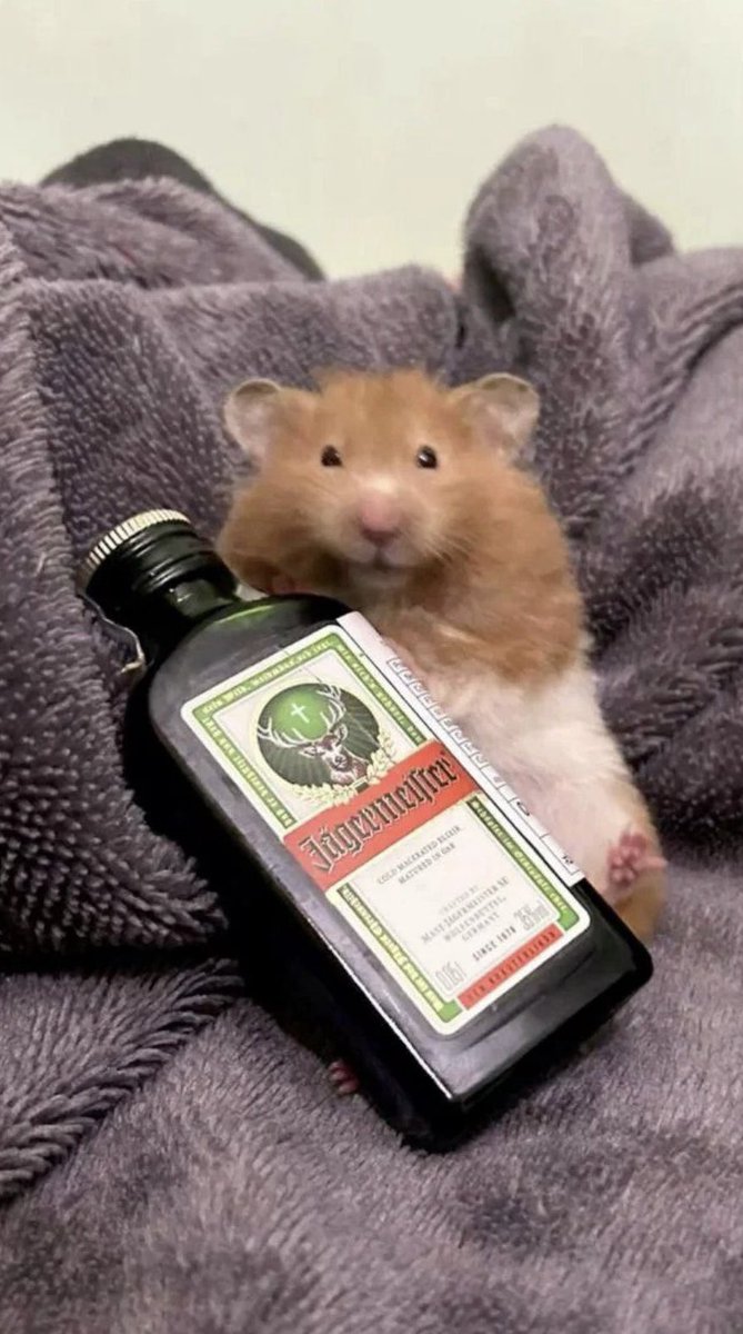 MARJIMALS tweet media