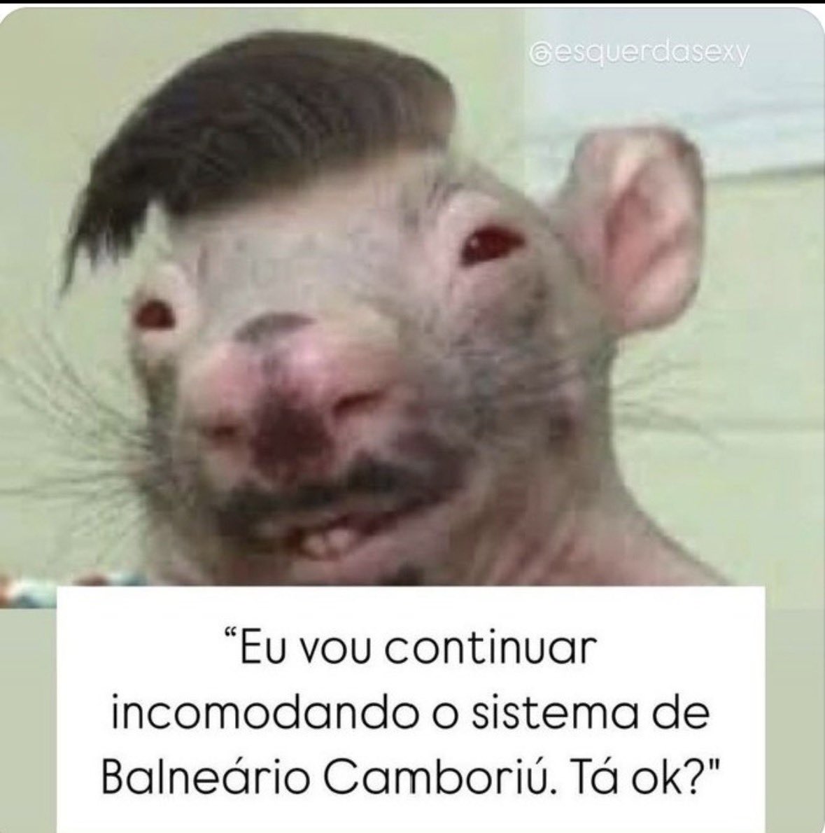 JCGoias12's tweet photo. @CaioAugstOR https://t.co/1usz0REv94