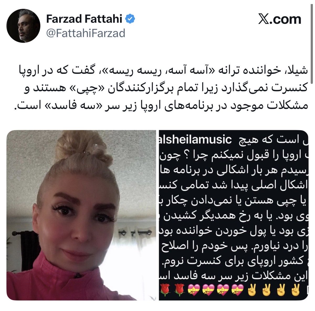 Shifu🎒 tweet media