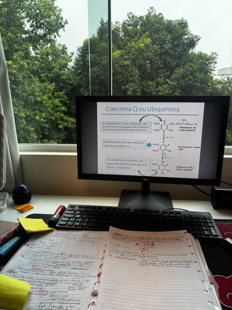 lau🧣🇮🇹🦷 tweet media